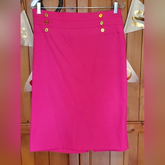 Vivienne Grace Dresses & Skirts - Hawwwwt Pink 3x Skirt